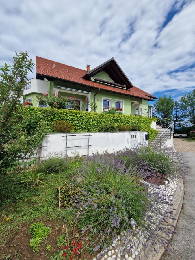 Green House Apartment Pivka Exteriér fotografie